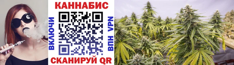 Бошки марихуана Bruce Banner  Ардон 